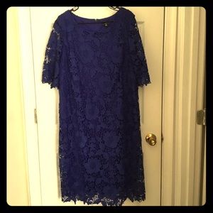 Royal Blue Lace Dress